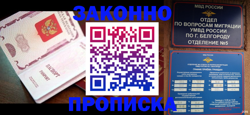 временная регистрация для школы в Белёве